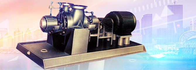 电站泵在轴封处装有可更换的轴套来保护泵轴